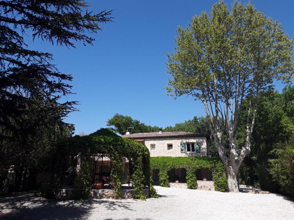 Mas De L'ile Bed & Breakfast